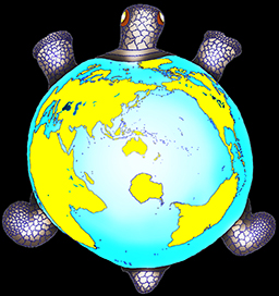 Turtle_map_projection-_low_res